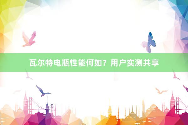 瓦尔特电瓶性能何如？用户实测共享